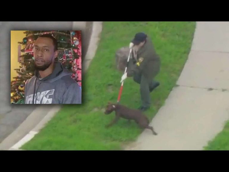 “Compton resident killed by own pit bulls in tragic attack” – Trending ...