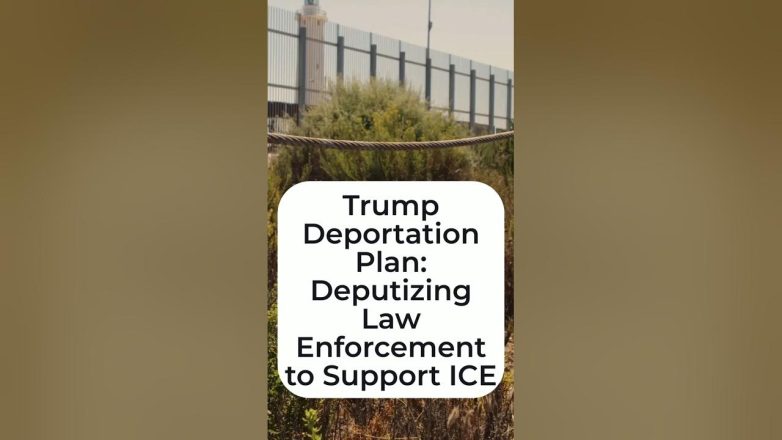 Trump's Bold Immigration Enforcement Strategy! VEED